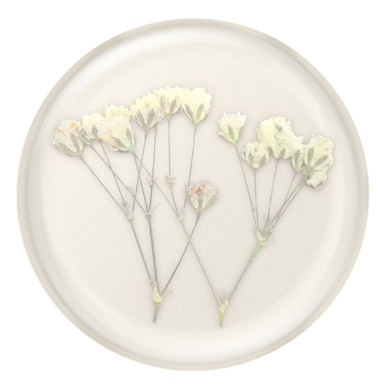 PopSockets PopGrip Pressed Flower Baby's Breath